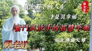 順流而下的人生,才是真幸福,奮鬥與放手的智慧平衡.#人生道理 #人生感悟 #人生智慧 #道家哲學 #道家思想 #佛學 #正能量 #禪語 #禪語錄 #老人言 #禪老道 #道家文化 #道家 #道家养生