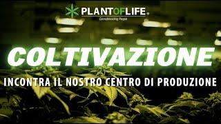  PLANTOFLIFE - CENTRO DI PRODUZIONE