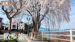 Kawaguchiko vlog｜Oike Park Cherry blossomwagashi Kindaruma、HOUTOU FUDOU｜Japan travel