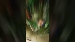 Ajmer Sharif #arif Saqlaini #youtube