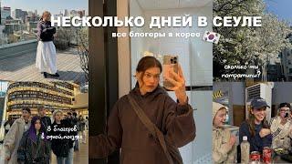 улетели в Сеул | блогеры встретились в Южной Корее