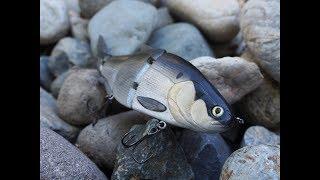 Swim Test: Stalker Shad Swimbait