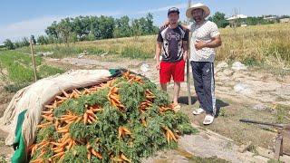 РАШИД ПОЛВОН НИМА БИЛАН ШУГУЛЛАНЯПТИ КУПЧИЛИК МУХЛИСЛАР ТАЛАБИГА БИНОАН.