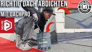 Endlich Flachdach DICHT / Richtig Dach abdichten mit Hilfe von DachPro