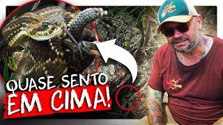 CUIDADO! A SERPENTE MAIS TEMIDA DO BRASIL PODE ESTAR DO SEU LADO! | RICHARD RASMUSSEN