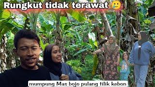 PAWITAN || Mlipir sebentar liat kebun, sekalian mampir ke rumah Bella