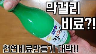 막걸리비료만들기/소중한 우리 식물들에게 영양듬푹/천연비료대박!!