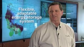 Energy Storage for the Power Grid