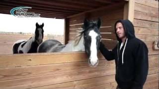 MMA Toys: Donald "Cowboy" Cerrone's Ranch