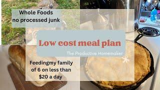 Healthy Meal Plan on a Frugal Budget | Inflation | Recession | Small budget