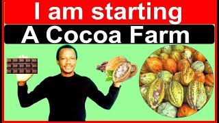 How to start a cocoa farm