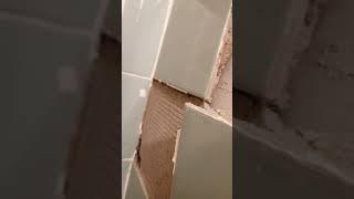 Советские строители строили на века))