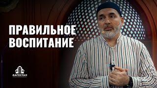 ПРАВИЛЬНОЕ ВОСПИТАНИЕ