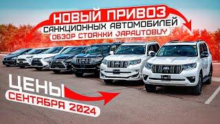 НОВЫЙ ПРИВОЗ САНКЦИОННЫХ АВТОМОБИЛЕЙ ОБЗОР СТОЯНКИ JAPAUTOBUY ЦЕНЫ СЕНТЯБРЯ 2024