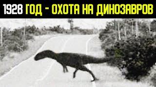 Охота на динозавров 1928 год. Другая история и странные находки.