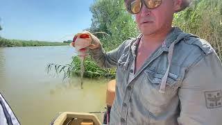 Рыбалка в Маково 17.07.2024г #маково #рыбалка #fishing #beach #каримкарим #carpfishing #отдых