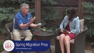 Denver Audubon - Bird Banding - May 22, 2023