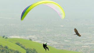 Paragliding Alongside Eagles | Natural World: Super Powered Eagles | BBC Earth