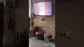 My mini vlog 