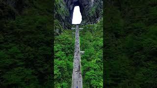 张家界天门山 Zhangjiajie Tianmen Mountain #animal 【跟着图尔去旅行】