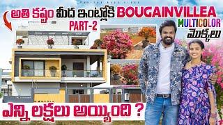 multicolor Bougainvillea Plants Cost | Adi Reddy | Bougainvillea Plants In New House | Ishmart Jodi