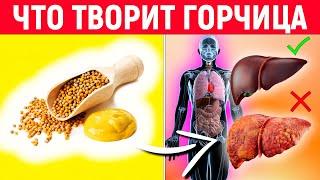 Вот Что Творит Горчица с Организмом! 96% Людей НЕ ЗНАЮТ про это... Горчица Польза и Вред Здоровью