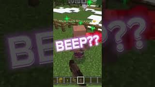 Picking the perfect villager in Minecraft…… #minecraft #villager #funny #joseph #marry #christian