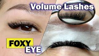 VOLUME LASH EXTENSIONS / Foxy eye / Full eyelash removal