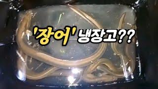 냉장고 포인트에서 '장어낚시' 를 하면??