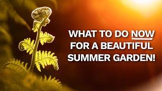 Spring Gardening Jobs - Feeding, Watering, Pruning & Exotic Plant Care Tips