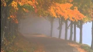 Лариса Луста Пасьянс.mpg