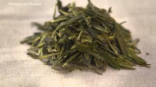 The Whittard Guide to Green Tea