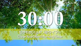 【タイマー】モヤモヤしている朝に聴きたい 気分が上がる朝の音楽 朝の準備 30分タイマー⏳ Morning Motivation BGM 30-Minute Timer