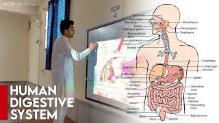 Farabi School System | Smart Board Classes | Prof Ahsan Niazi | Biology | Human Digestive System