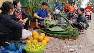 Robert sells leaves and earn a lot of money. Green forest life (ep 257)