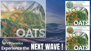 FP Genetics NEXT WAVE Oats