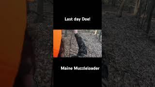 Last Day of the Muzzleloader Season! Doe Down! #maine #hunting