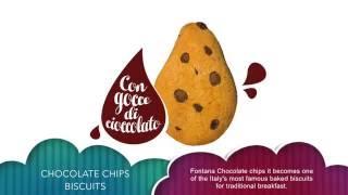 Chocolate chip biscuits manufacturing - italian baked food products