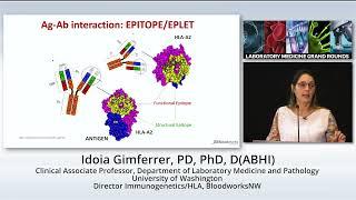 HLA and Transplantation