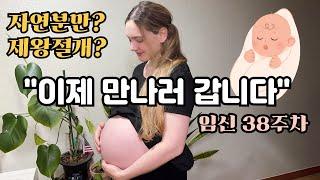 이제 진짜 출산이 코앞! 떨리지만 기대됩니다...American Wife's Birth Is Just Around the Corner! Everyone is NERVOUS 