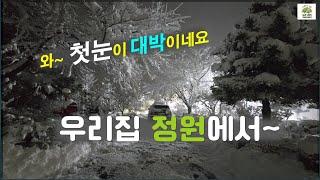 와~ 첫눈이 대박이네요, 우리집 정원에서