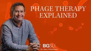 BGSU Research: Antibiotic Resistance and Phage Therapy Explained