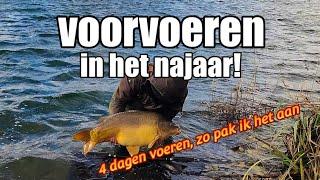 4 dagen VOORVOEREN in het najaar! Zo pakte ik het aan!