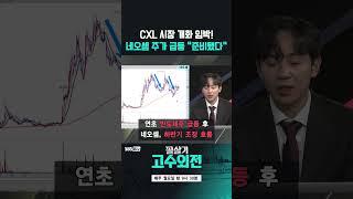 네오셈 하반기 조정받았지만 CXL시장 개화와 함께 주가 날라간다(20241111)