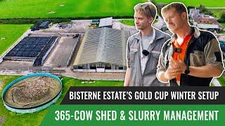 365-Cow Shed & Slurry Management: Bisterne Estate’s Gold Cup Winter Setup