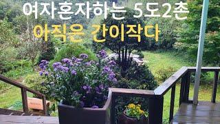 50대1인가구/시원한 계곡과 여름 풍경을담아봤어요/아직은산골밤은 무서워요/5도2촌