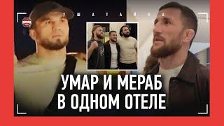 UFC В БАКУ: Мераб и Умар в здании, Физиев отжигает / ФАНАТЫ: "ТОПУРИЯ ВЫБЬЕТ ДУРЬ ИЗ МАХАЧЕВА!"
