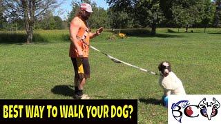 Hands Free LEASH Revolution That's Changing Dog Walks Forever!