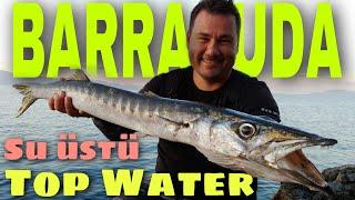 JACKFİN STYLO240 ORTALIĞI BİRBİRİNE KATTI/SU ÜSTÜ/TOP WATER SPİNNİNG FOR BARRACUDAS  WİTH STYLO 240