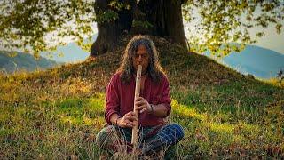 Ancient Native American Flute Meditation Healing Music